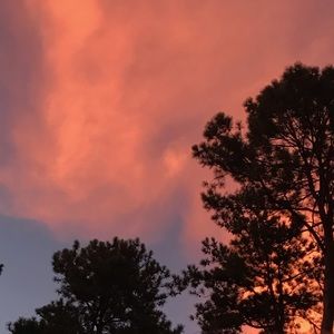 Meet your Posher, Bridget